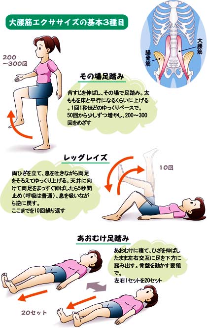 トレ 股関節 痛 筋 【股関節のストレッチ15選！】柔軟性を高める周辺筋肉の柔軟体操